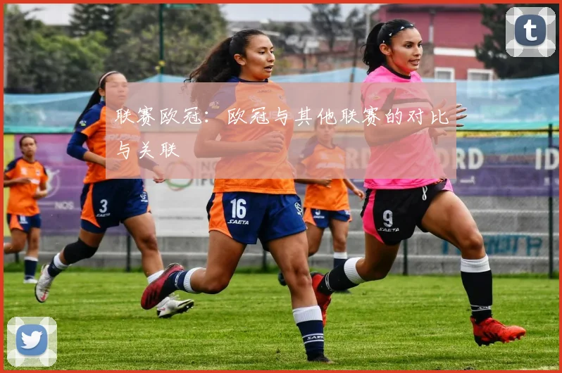 联赛欧冠：欧冠与其他联赛的对比与关联
