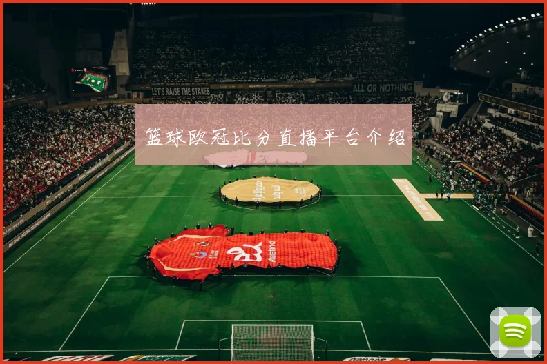 篮球欧冠比分直播平台介绍