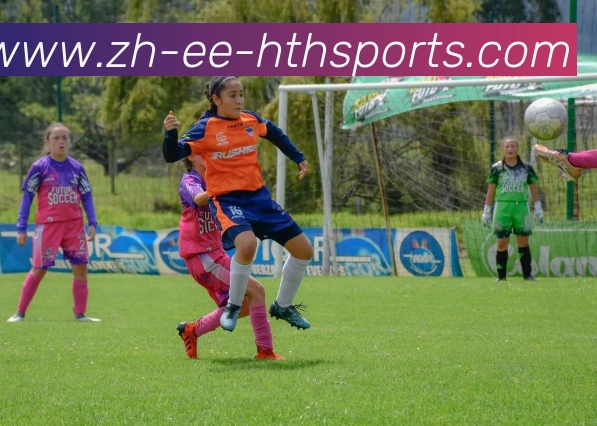 华体会登录入口平台生态图